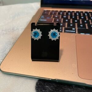 Elegant Blue and Silver Stud Earrings